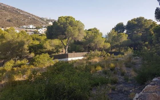 Parcela de  en Moraira- AVS57658 - Foto - 1