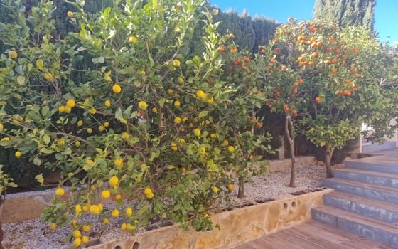 3 bedroom Villa in Benitachell - GNV57718 - Photo - Small - 25