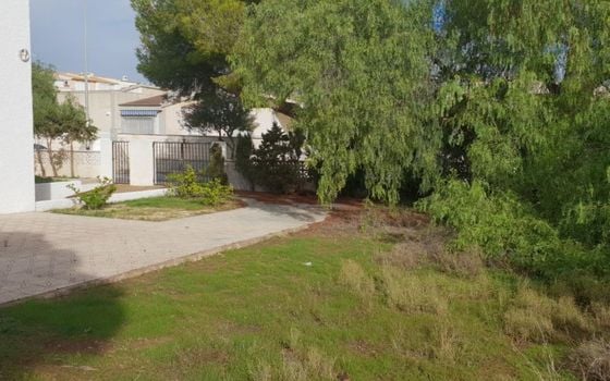 Villa de 3 chambres à La Zenia - DMS113534 - Photo - Small - 22