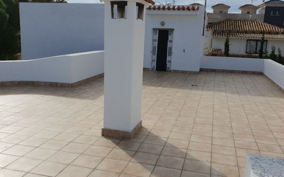 Villa de 3 chambres à La Zenia - DMS113534 - Photo - Small - 18
