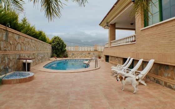 Villa de 6 chambres à Benidorm - CPP59884 - Photo - 3