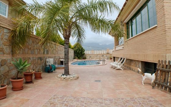 Villa de 6 chambres à Benidorm - CPP59884 - Photo - 2