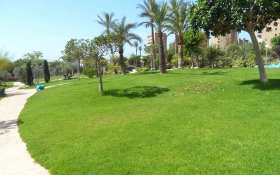 Apartamento de 1 habitación en Benidorm - CPP59909 - Foto - Small - 12