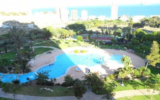 Apartamento de 1 habitación en Benidorm - CPP59909 - Foto - Small - 11