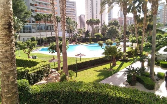 Appartement de 3 chambres à Benidorm - CPP59940 - Photo - 2