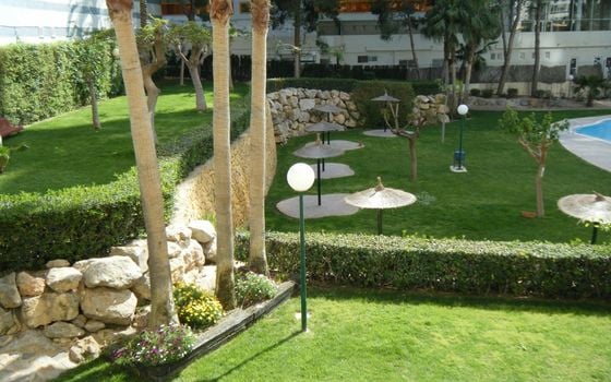 Apartamento de 3 habitaciones en Benidorm - CPP59940 - Foto - Small - 36
