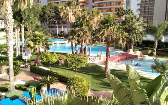 Appartement de 3 chambres à Benidorm - CPP59940 - Photo - 3