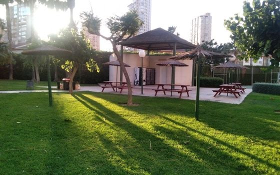 Apartamento de 3 habitaciones en Benidorm - CPP59940 - Foto - Small - 40