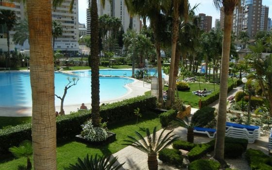 Apartamento de 3 habitaciones en Benidorm - CPP59940 - Foto - Small - 37