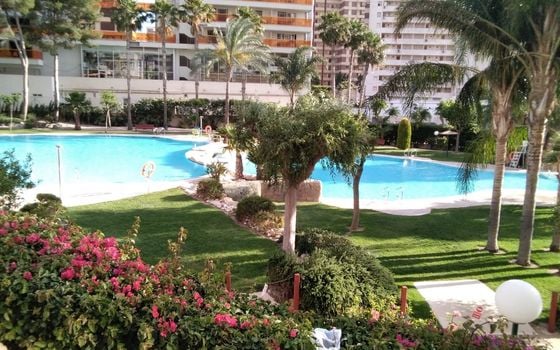 Apartamento de 3 habitaciones en Benidorm - CPP59940 - Foto - Small - 38