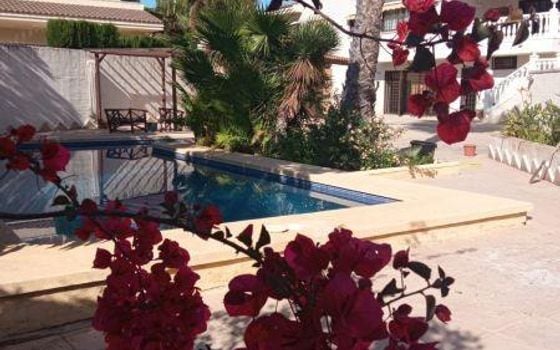 Villa de 6 chambres à Benidorm - CPP59975 - Photo - 3