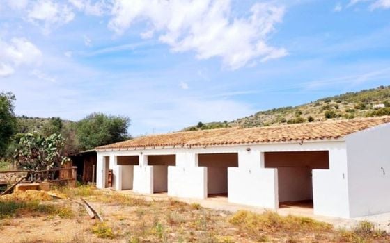 Vilă cu 4 dormitoare în Senija - AVE60098 - Imagini - Small - 38