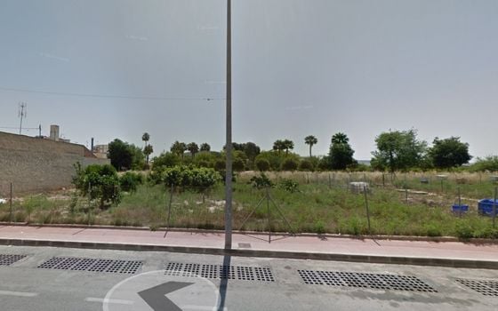 Parcela de  en Daya Nueva- ELA60291 - Foto - 3