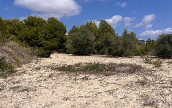 Parcela de  en Benissa- AVE61530 - Foto - 2