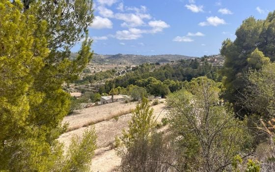 Parcela de  en Benissa- AVE61530 - Foto - 5