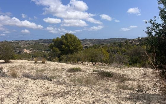 Parcela de  en Benissa- AVE61530 - Foto - 4