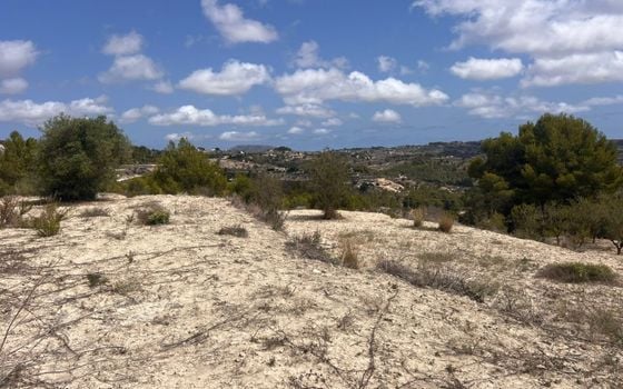 Parcela de  en Benissa- AVE61530 - Foto - Small - 6