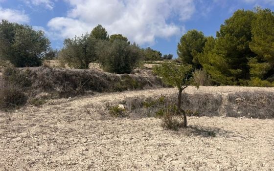 Parcela de  en Benissa- AVE61530 - Foto - Small - 7