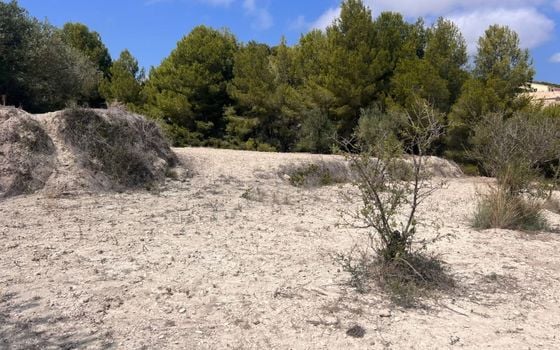 Parcela de  en Benissa- AVE61530 - Foto - Small - 9