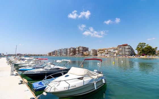 Appartement de 1 chambre à Torrevieja - TIM154727 - Photo - Small - 25