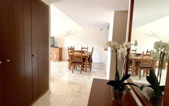 Appartement de 2 chambres à Punta Prima - LR61675 - Photo - 5