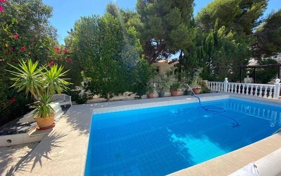 12 bedroom Townhouse in Punta Prima - LR61715 - Photo - Small - 4