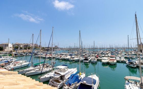 Appartement de 1 chambre à Torrevieja - TIM154727 - Photo - Small - 24