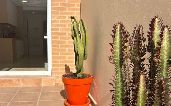 Penthouse w Alicante, 2 sypialnie - VCC50198 - Zdjęcie - Small - 22