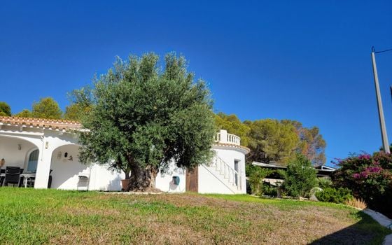 Villa de 3 chambres à Calp - VMD62731 - Photo - Small - 37