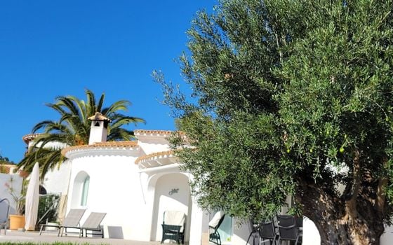 Villa de 3 chambres à Calp - VMD62731 - Photo - Small - 38