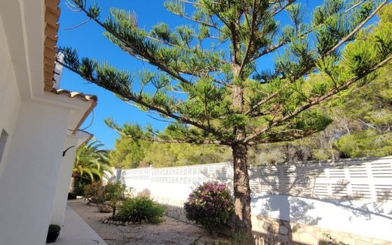 Villa de 3 chambres à Calp - VMD62731 - Photo - Small - 34