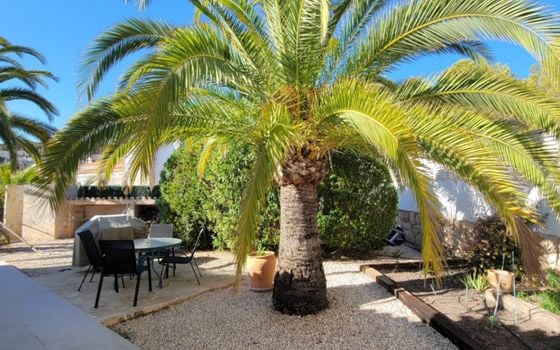 Villa de 3 chambres à Calp - VMD62731 - Photo - Small - 31