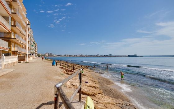 2 bedroom Bungalow in Torrevieja - TIM144653 - Photo - Small - 31