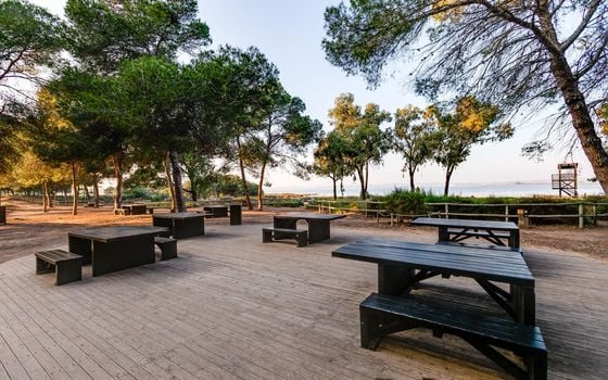 Bungalow de 2 chambres à Torrevieja - HRE137031 - Photo - Small - 42