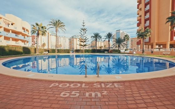 1 bedroom Apartment in La Manga - GRI99165 - Photo - Small - 6