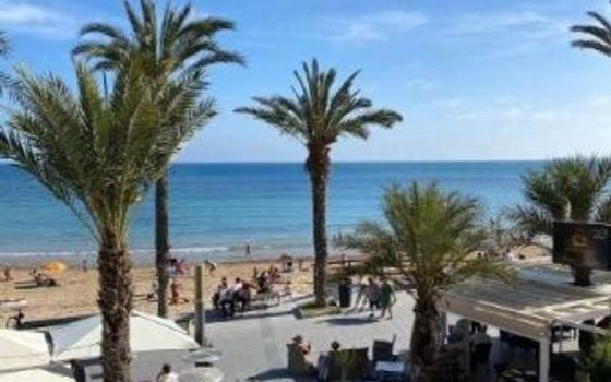 4 bedroom Apartment in Torrevieja - SV67347 - Photo - Small - 15