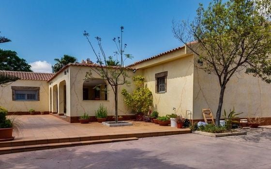 Villa de 4 chambres à Los Montesinos - SV67362 - Photo - Small - 28