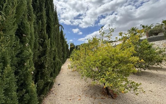 Villa de 3 chambres à Altea - SV67369 - Photo - Small - 29