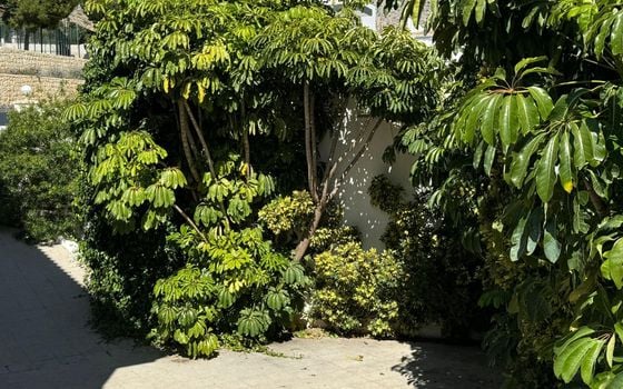 Vilă cu 4 dormitoare în Altea - SV67371 - Imagini - Small - 32