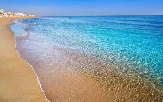 1 bedroom Plot in Guardamar del Segura - SV68608 - Photo - Small - 7