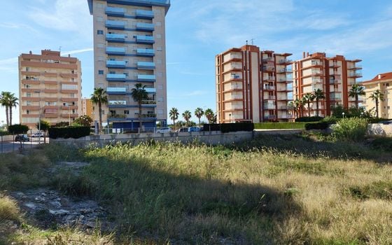 Участок в Гуардамар дель Сегура, - SV68613 - Фото - 4