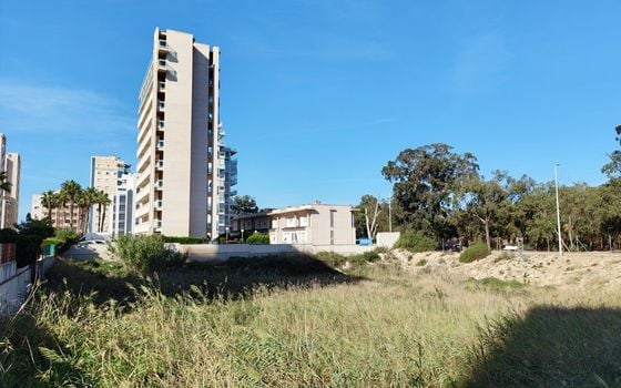  Grundstück in Guardamar del Segura- SV68613 - Foto - Small - 6