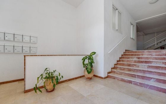 4 Schlafzimmer Appartement in San Pedro del Pinatar - MRS69271 - Foto - Small - 26