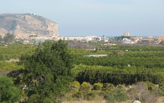 Vilă cu 5 dormitoare în Jávea - LLA69424 - Imagini - Small - 13