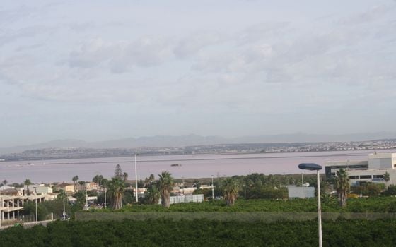 3 bedroom Villa in Los Altos - CP21255 - Photo - Small - 7