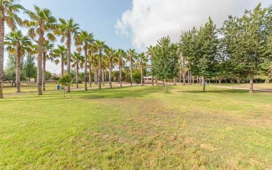 3 bedroom Villa in Los Altos - CP21255 - Photo - Small - 8