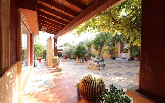 3 bedroom Villa in Algorfa - VRE69849 - Photo - Small - 30