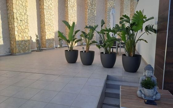 6 bedroom Villa in Ciudad Quesada - EE70171 - Photo - Small - 49
