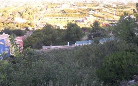  Pozemek v Pedreguer- PGP70387 - Foto - Small - 9