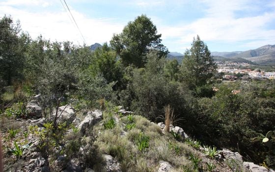  Pozemek v Orba- PGP70403 - Foto - Small - 6